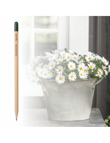 00130 Sprout matita piantabile